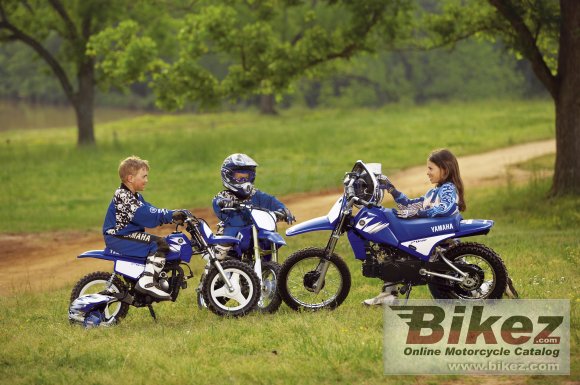 2006 Yamaha PW 80 photo